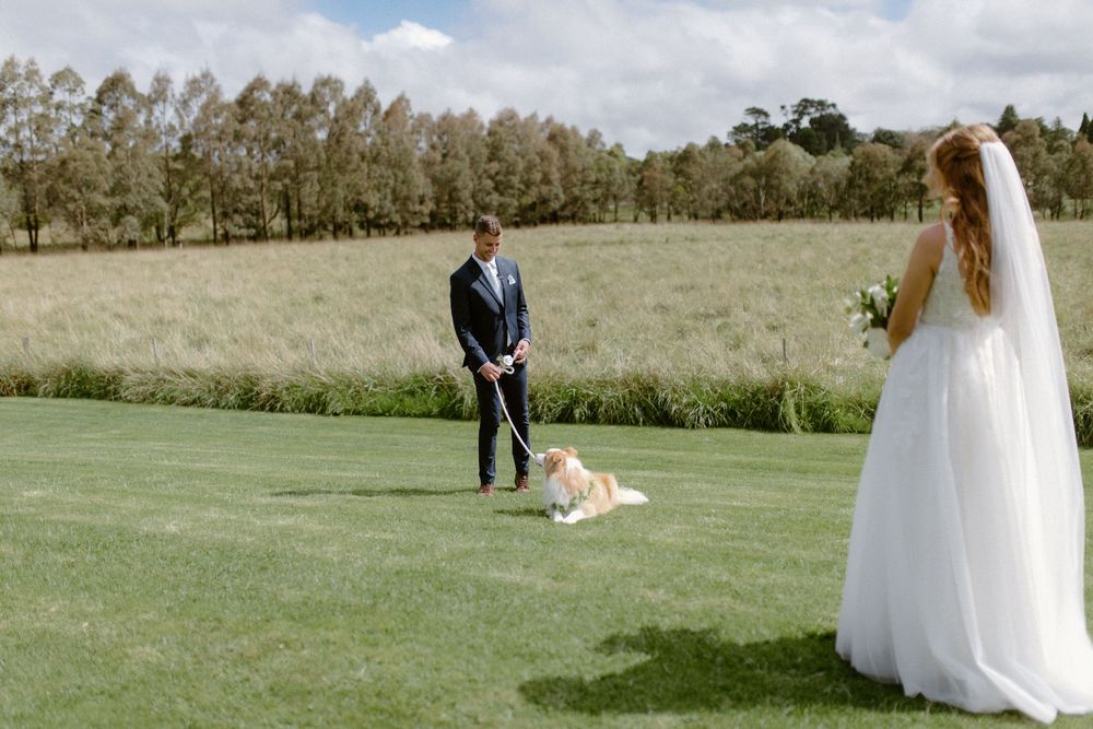 An outdoor wedding scene with a couple and their dog on a manicured lawn with trees in the background.