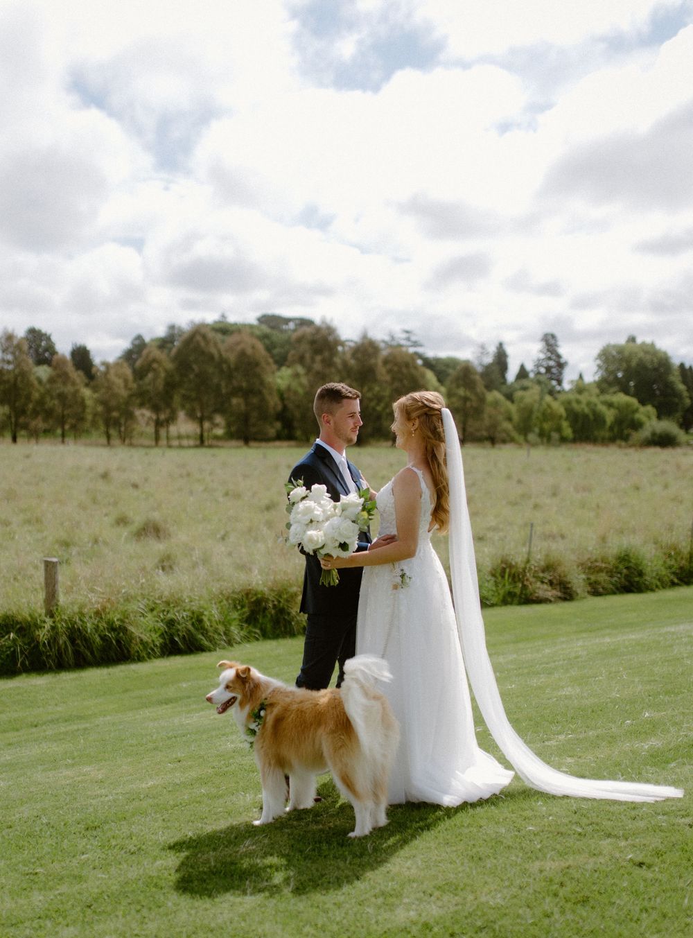 Newlyweds pose with their Collie dog on a grassy field with a tree line in the background.