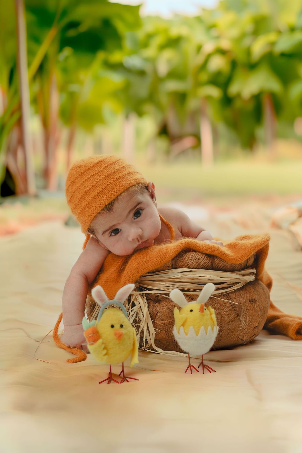 Baby in orange knit hat rests in coconut basket outdoors, surrounded by two yellow chick toys on a warm autumn setting.