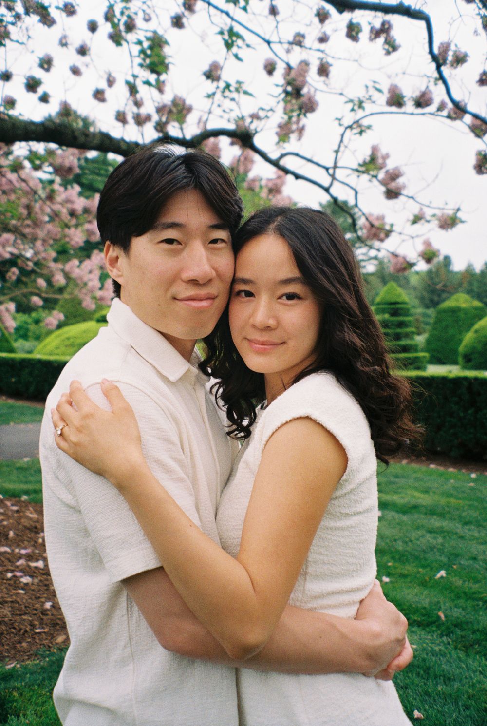 A romantic couple in white outfits embracing under blooming cherry blossom trees in a garden setting.