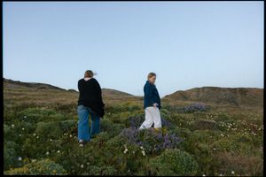 Two people hike through a hillside meadow filled with wildflowers against a rugged coastal landscape.