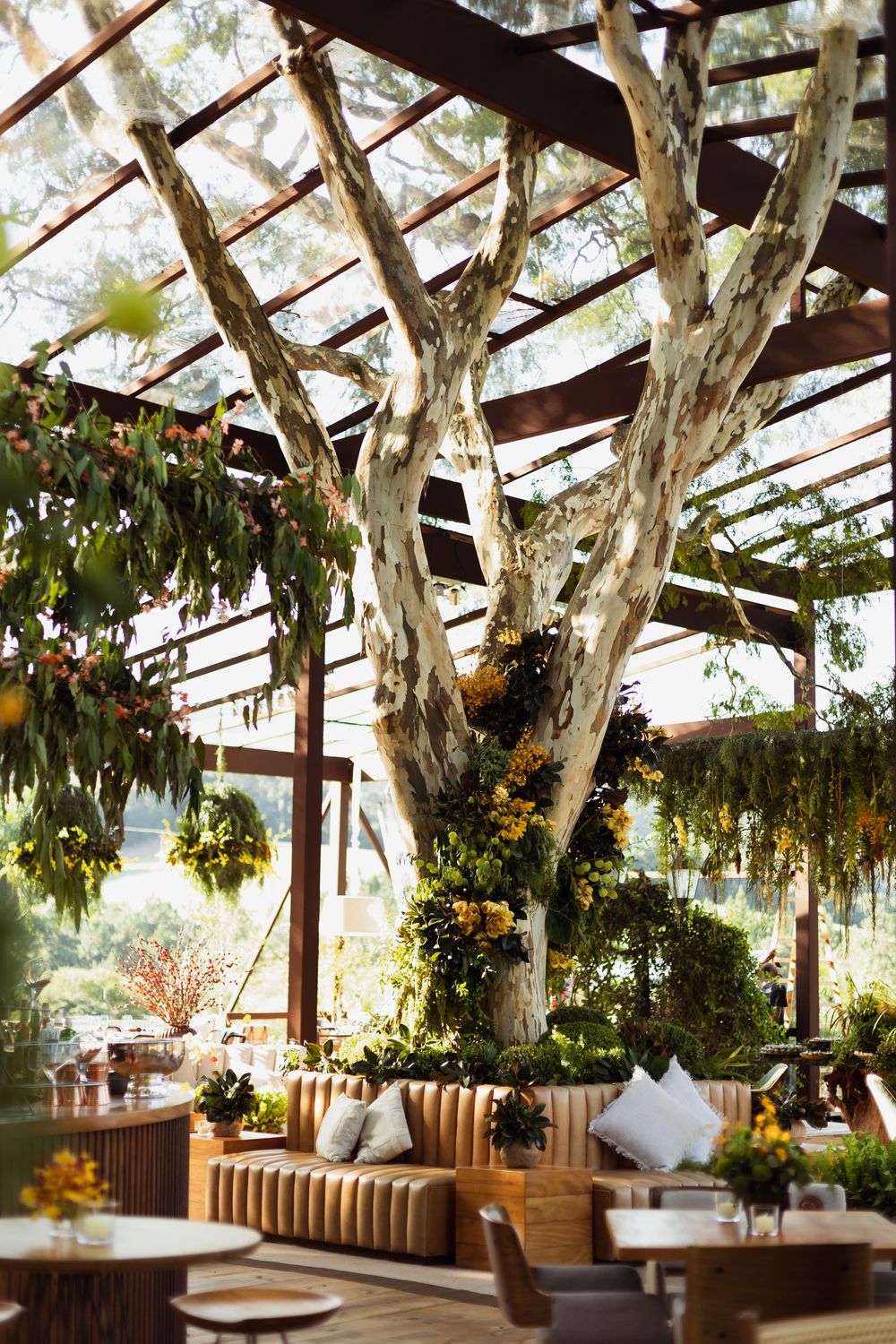 Rustic outdoor lounge area under a pergola with large tree and hanging floral decorations.