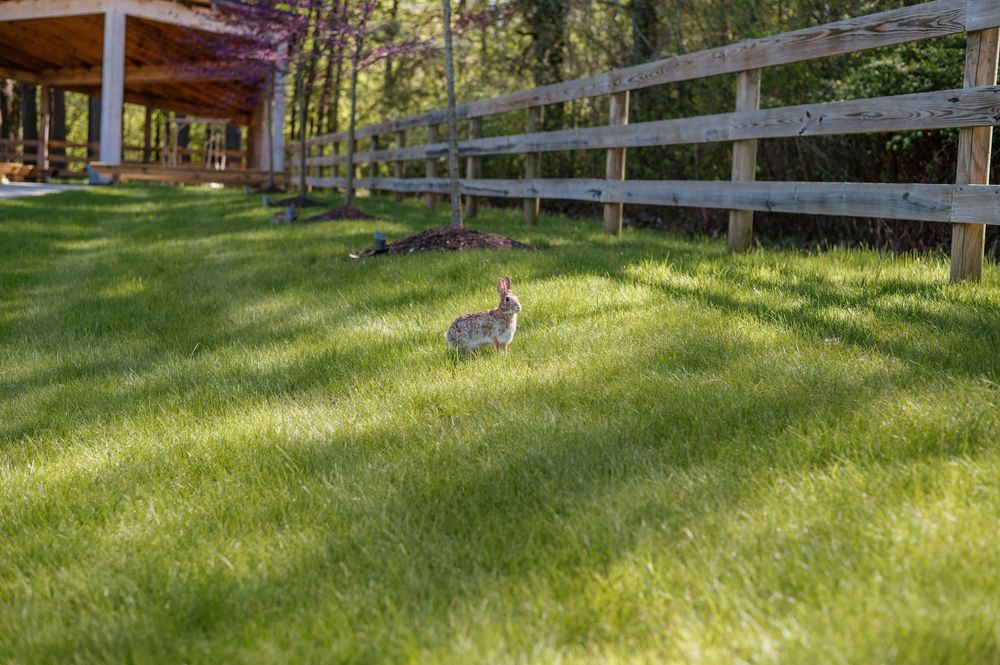 Wooden fence lines a sunlit grassy field with a rabbit visible in the distance.