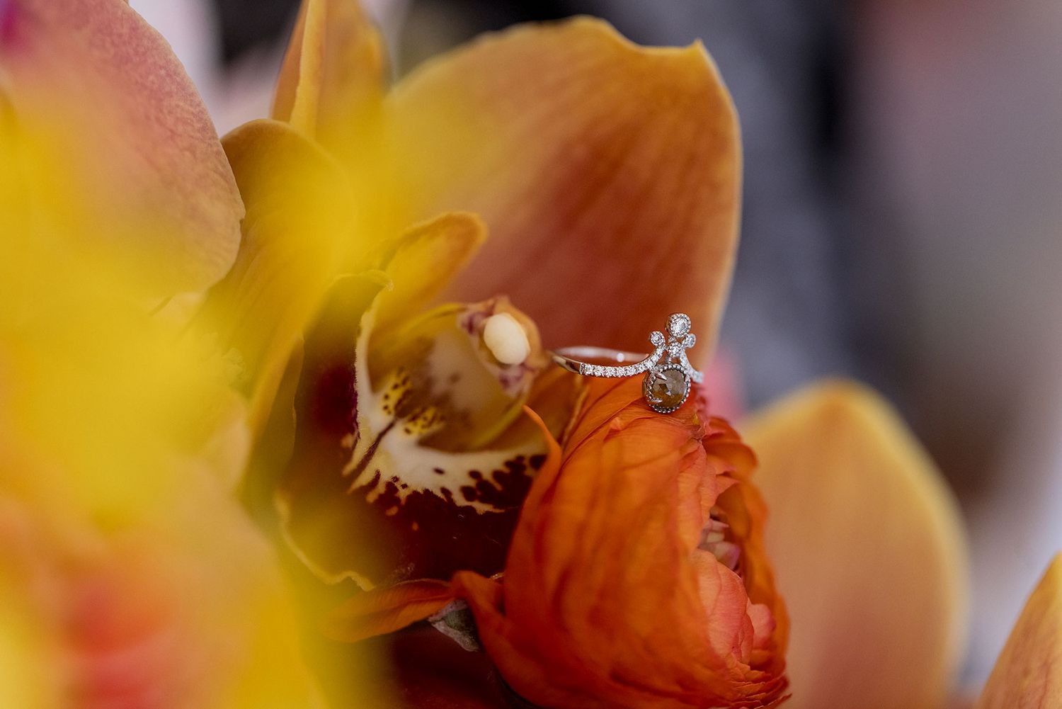 Macro photograph of an orchid flower showing vibrant yellow and orange petals with intricate details with an Engagement Ring..