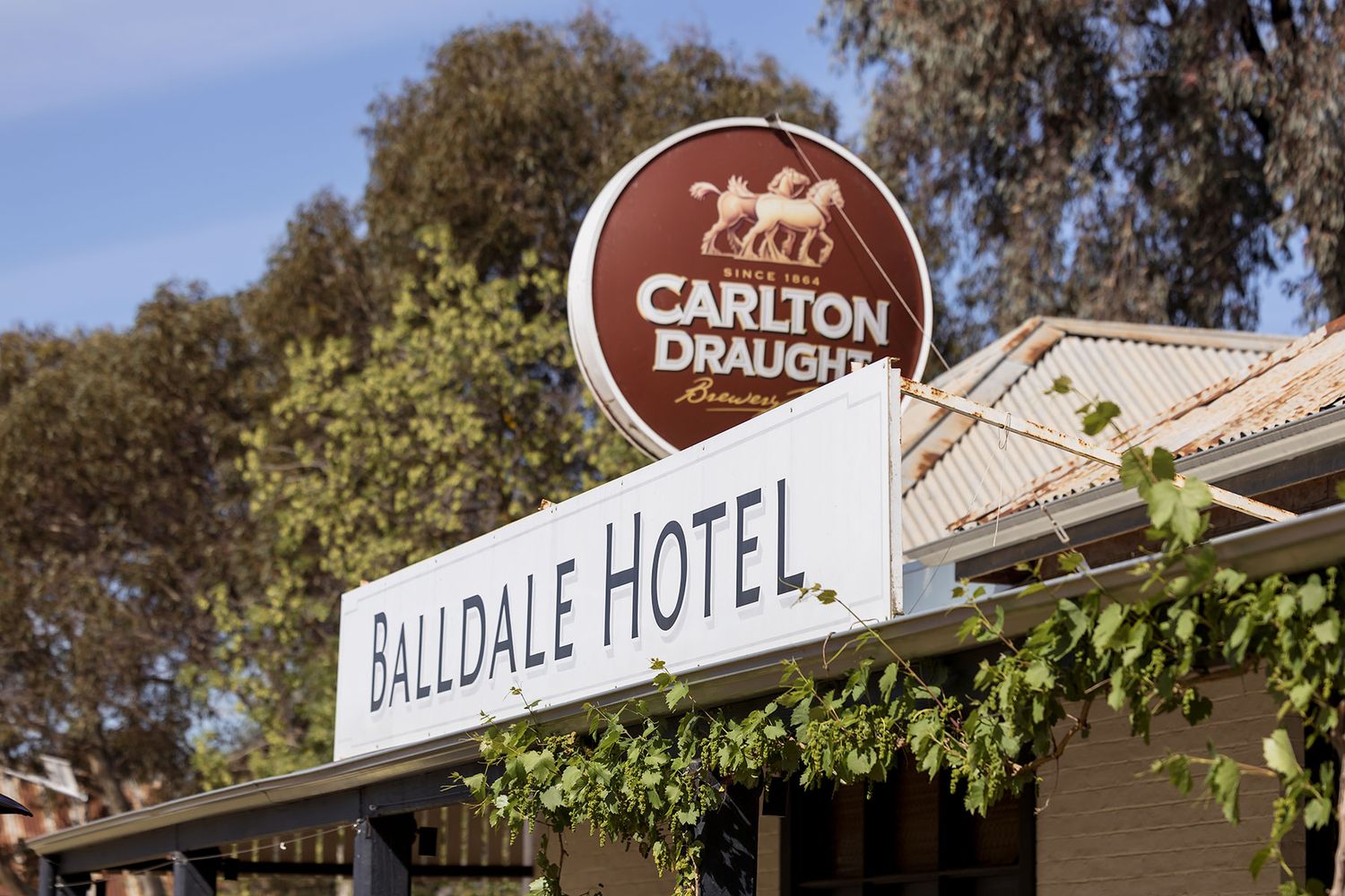 A series of Australian country pub signs and hotel facades lined up along a rural road during daytime.