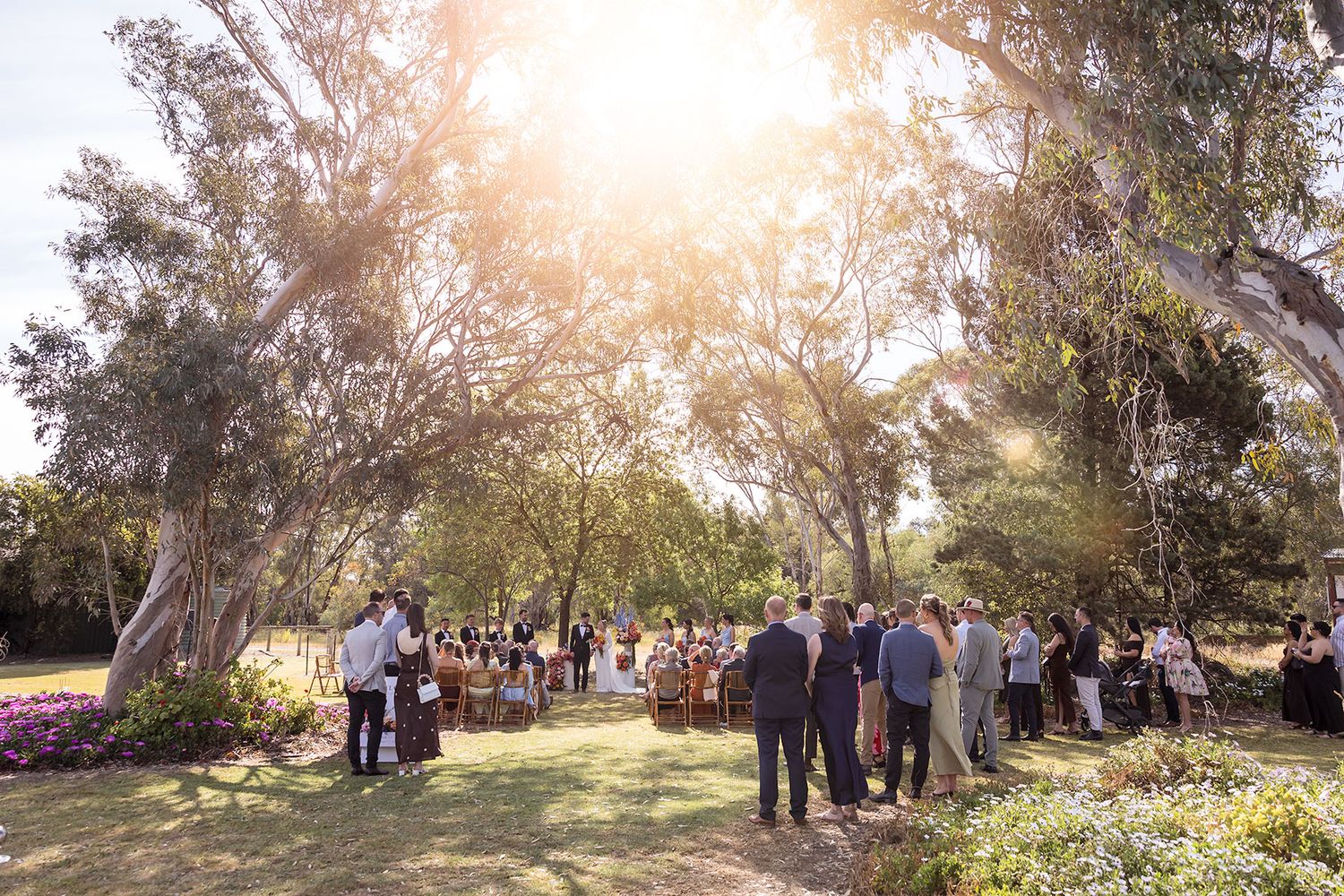 A wedding ceremony at the Balldale Hotel with guests watching on and sun streaming through the gum trees.