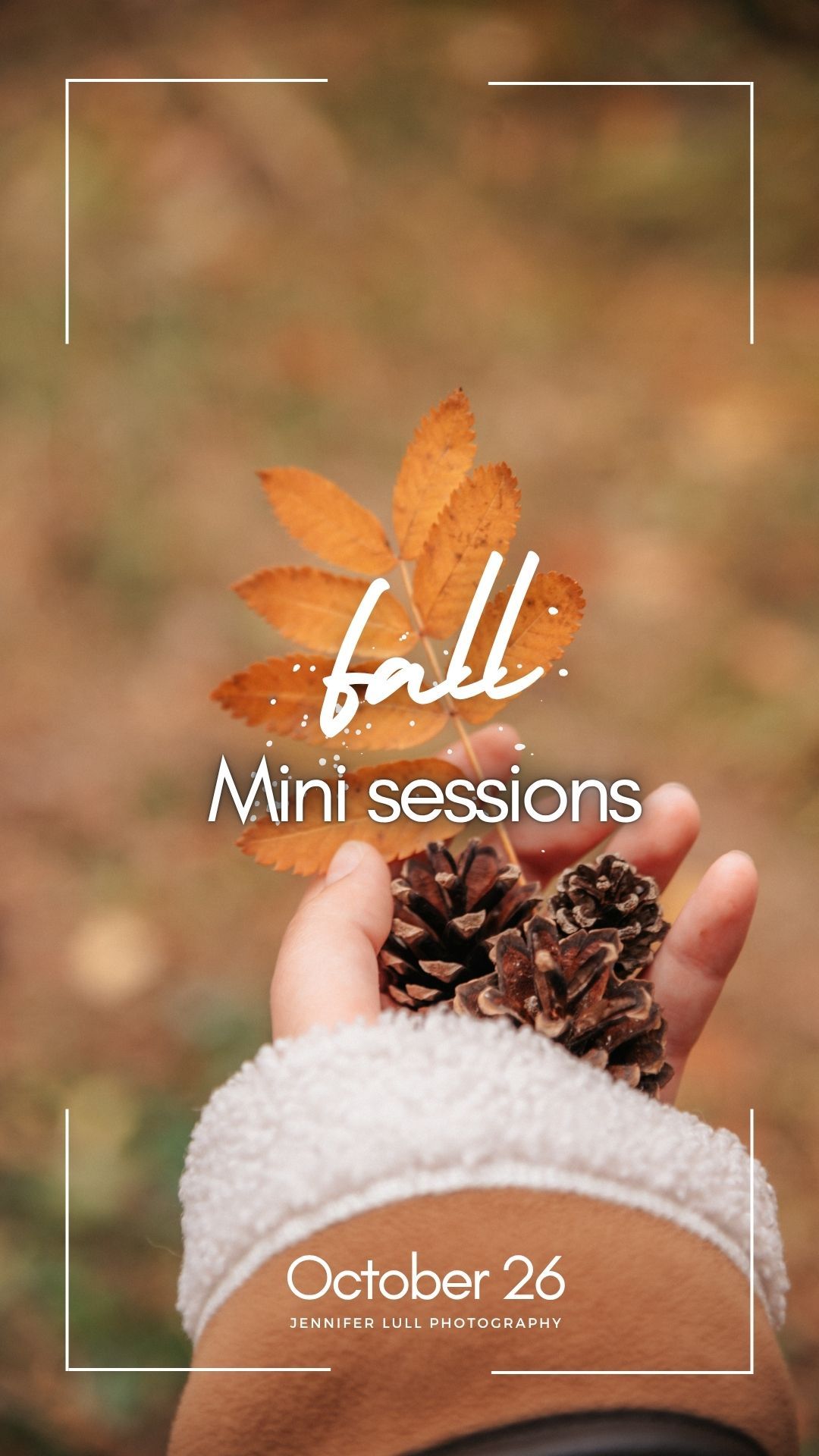 Fall mini photography session advertisement with orange maple leaf and pinecone on white textured background.