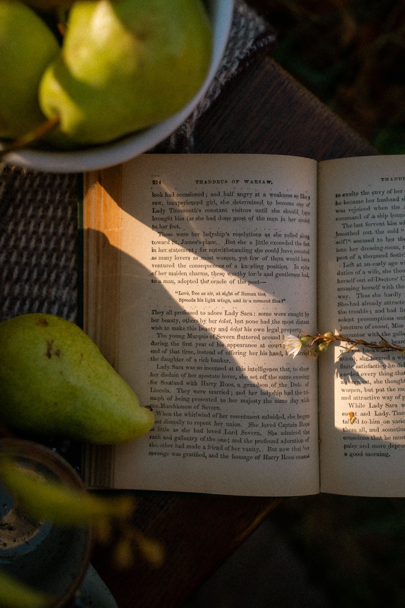 An open book with pages illuminated by natural sunlight lies next to fresh green pears on a dark surface.