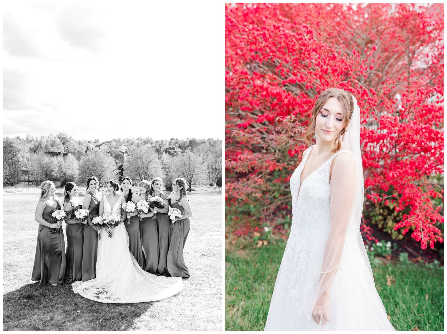 Wedding party in black and white photo next to colorful autumn portrait with bright red foliage background.