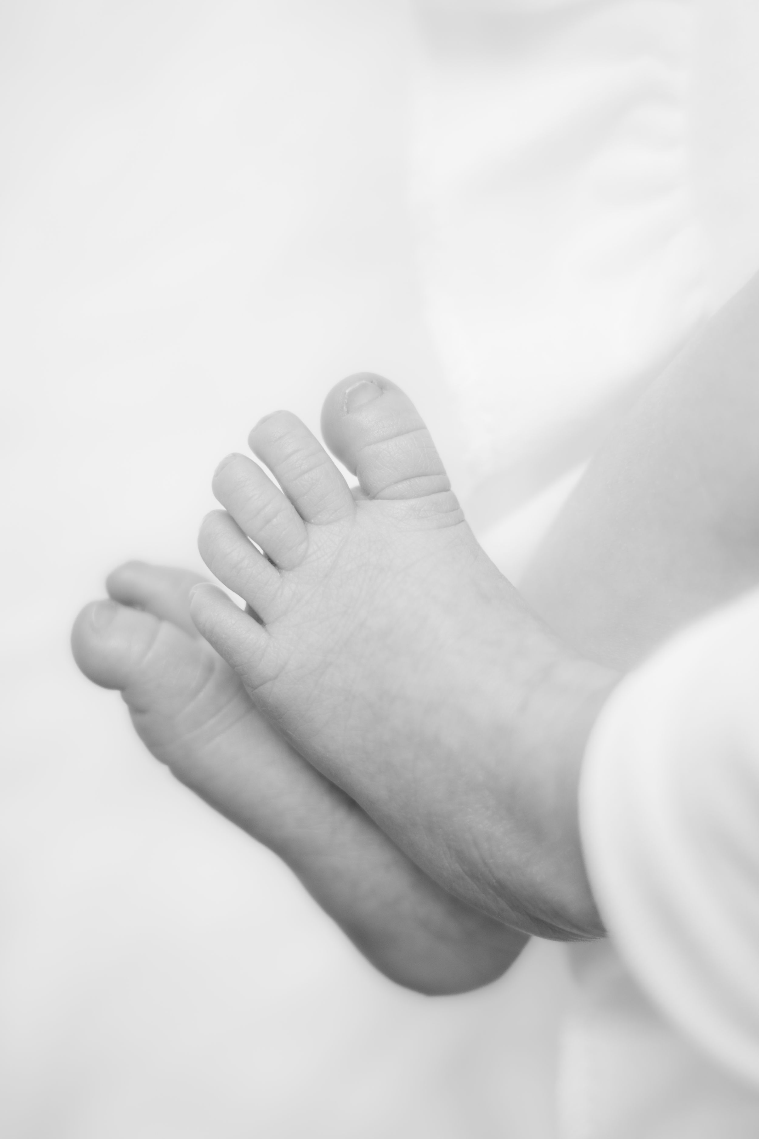 Close-up series of a newborn baby's tiny feet in black and white against a white background.