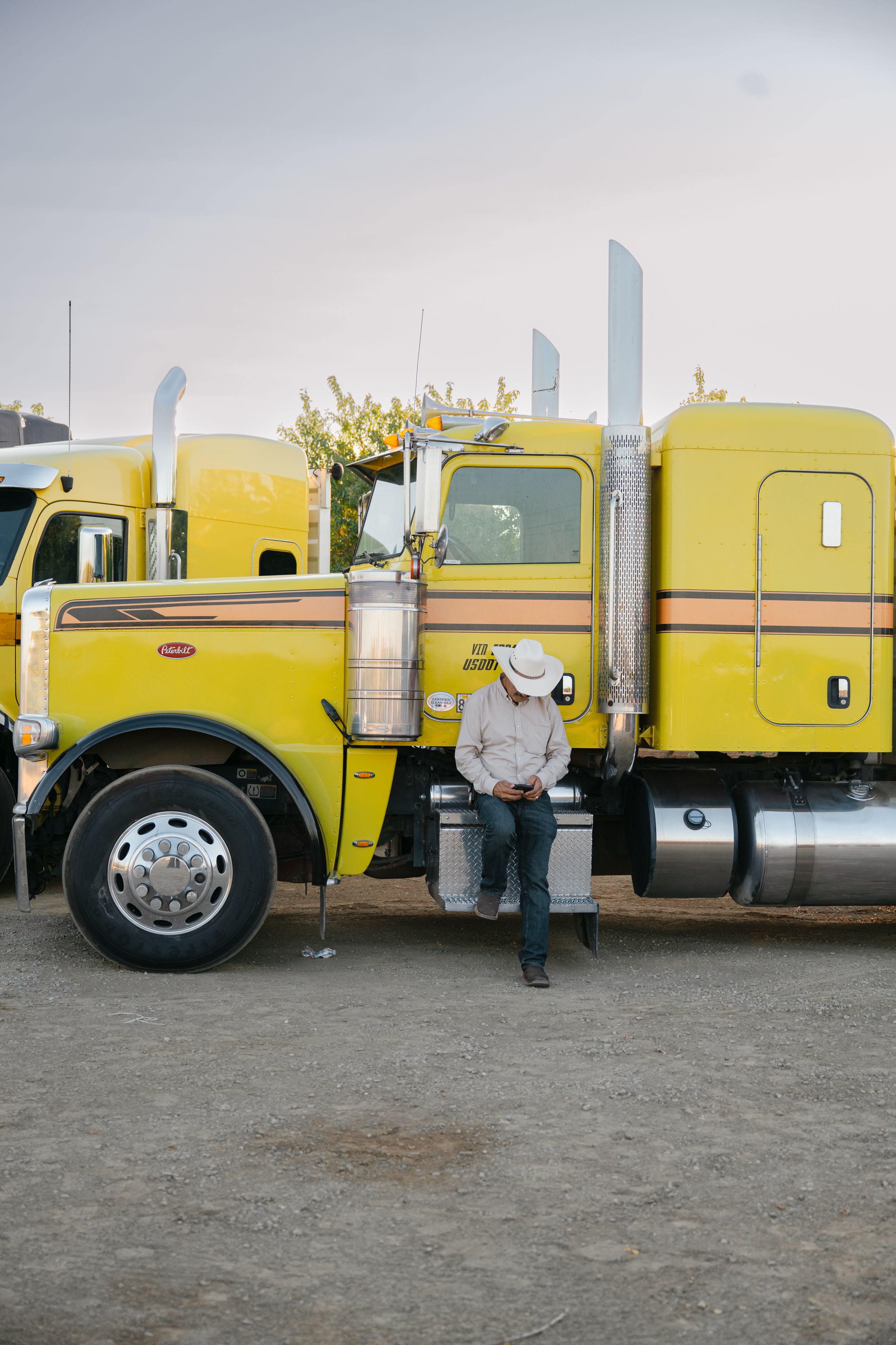 A series of yellow semi trucks parked in a row on a gravel lot showing different angles of their profile views.