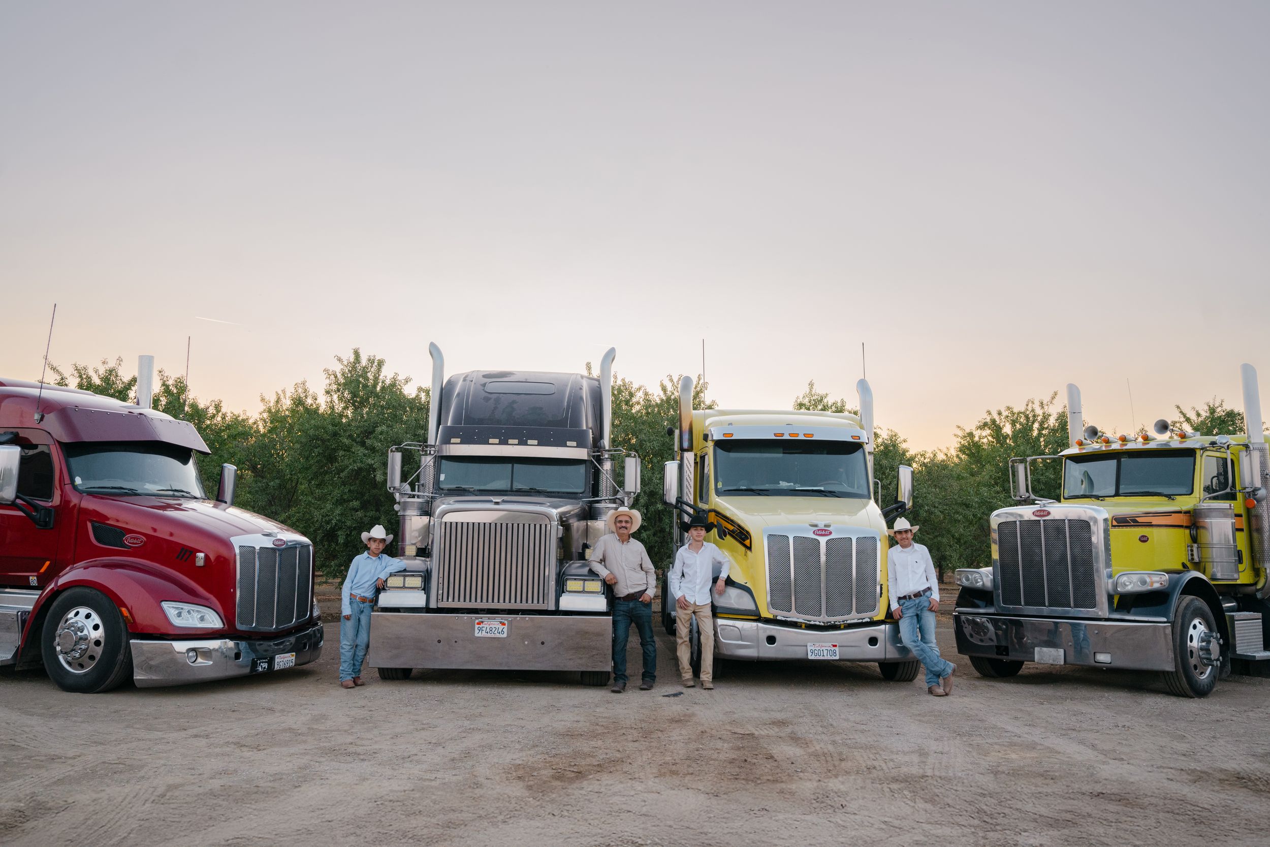 A lineup of semi trucks and trailers parked side by side at sunset with trees visible in the background.
