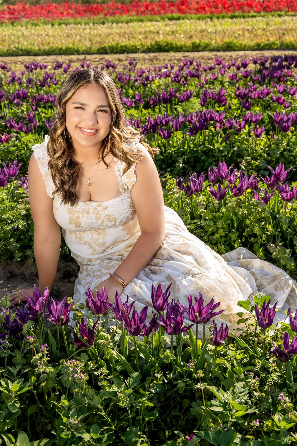 Colorful tulip fields with vibrant red, yellow, and purple blooms stretching across rolling farmland in springtime.