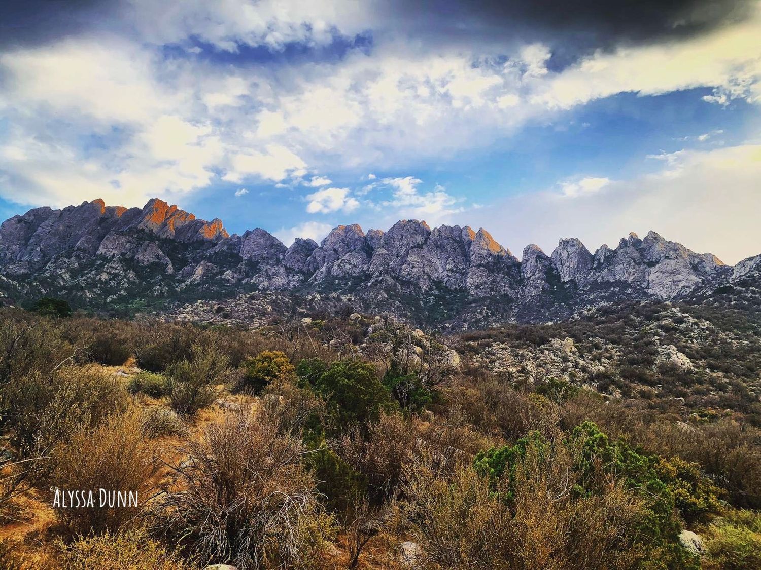 I took this in NM a couple years back and this remains one of my personal favorites!