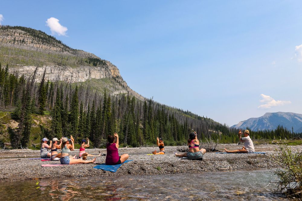 Yoga group session in scenic mountain landscape with pine trees and cliffs.