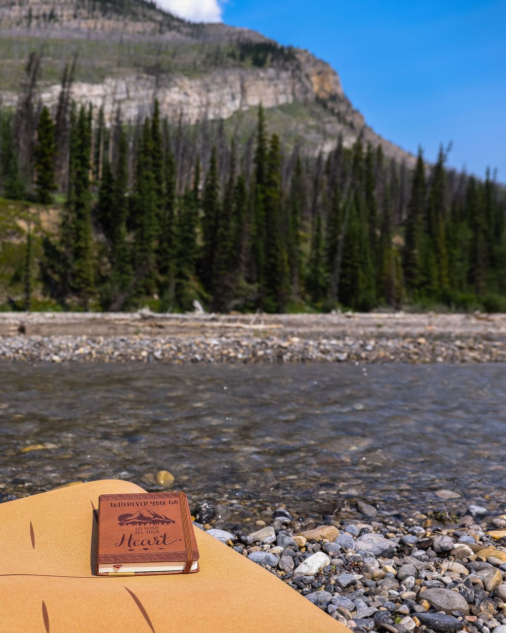 Rustic journal resting on rocks by mountain river with forest and cliffs in background.