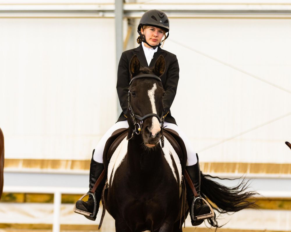 Equestrian rider aboard black horse in formal dressage competition setting. 4H