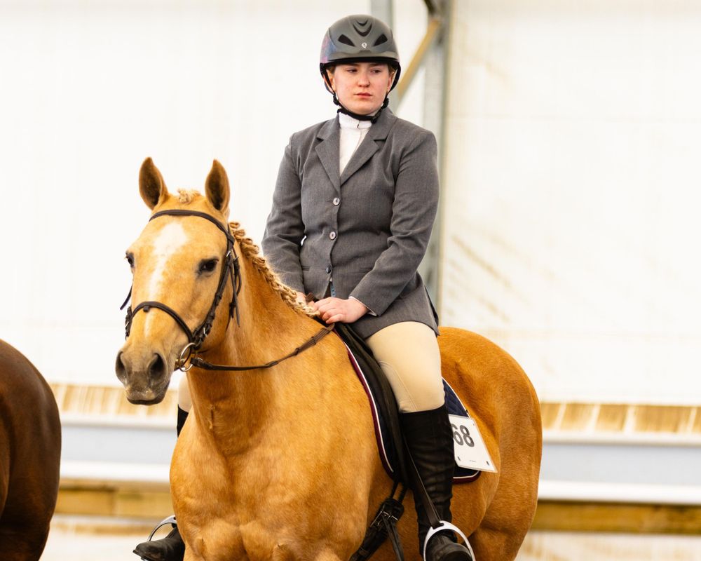 Rider mounted on palomino horse during indoor equestrian competition. 4H