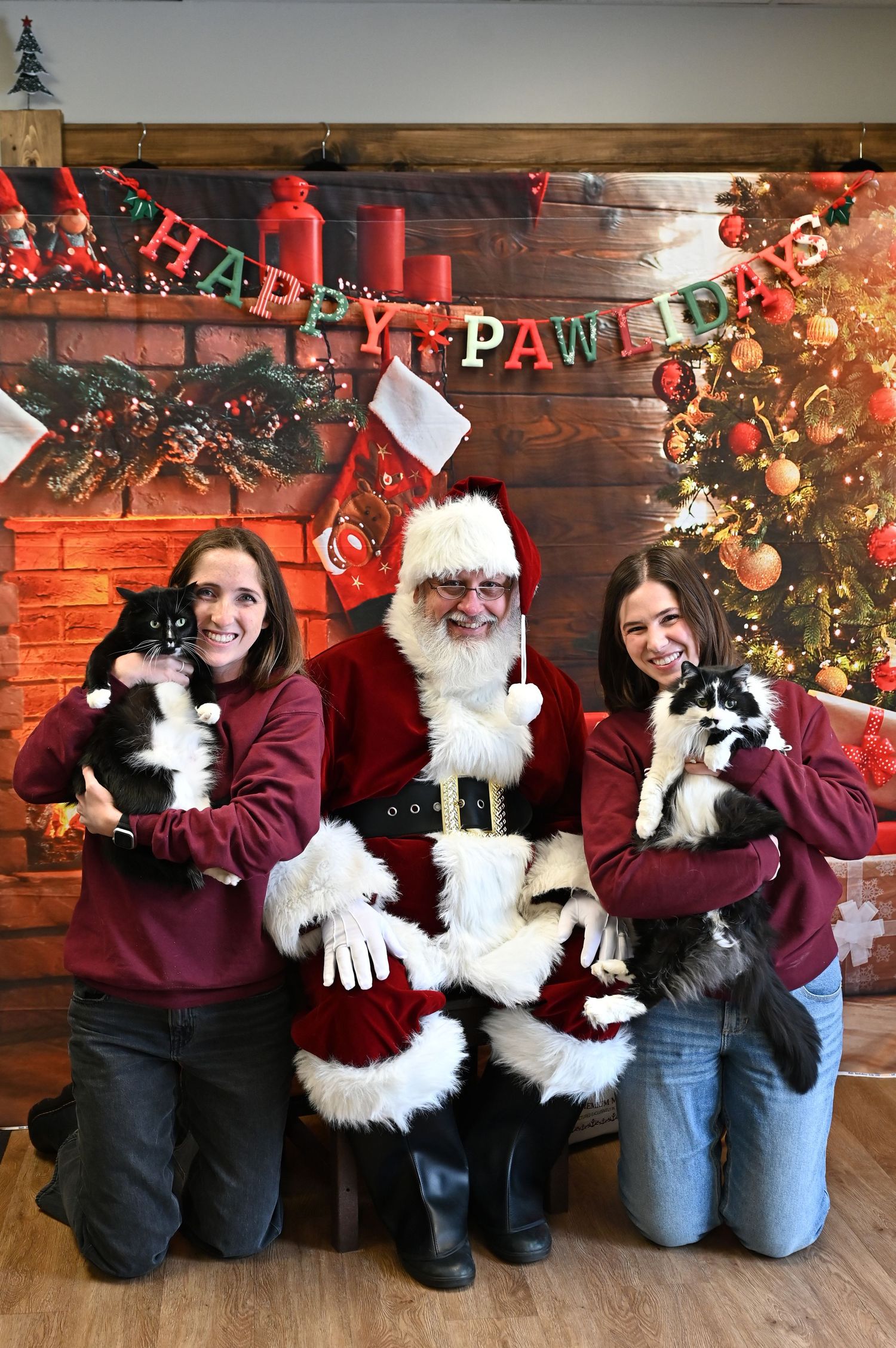 Progressive sequence of photos showing a playful Christmas scene with pets and festive holiday decorations.