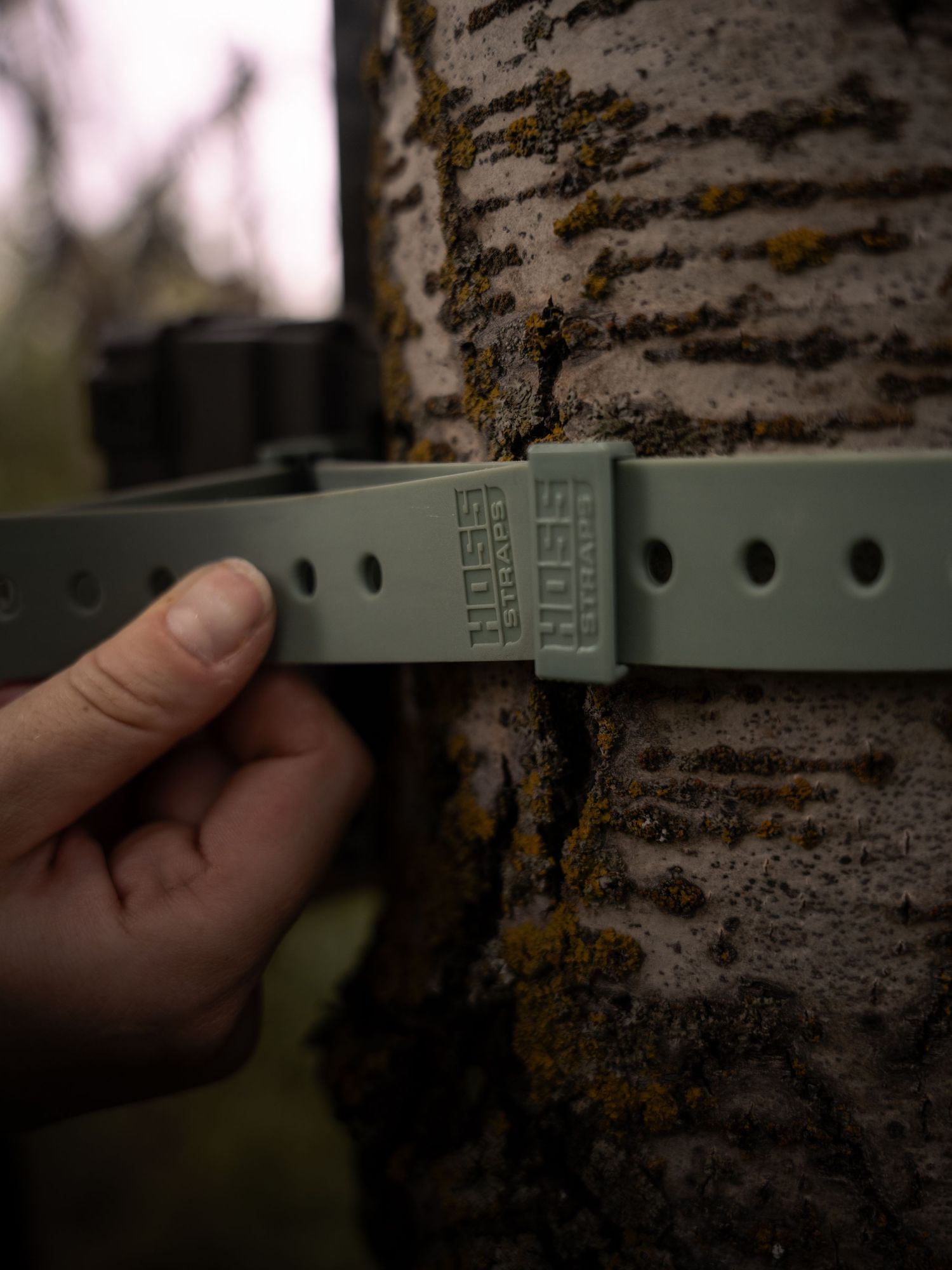 Close-up of gray mounting brackets against textured tree bark.