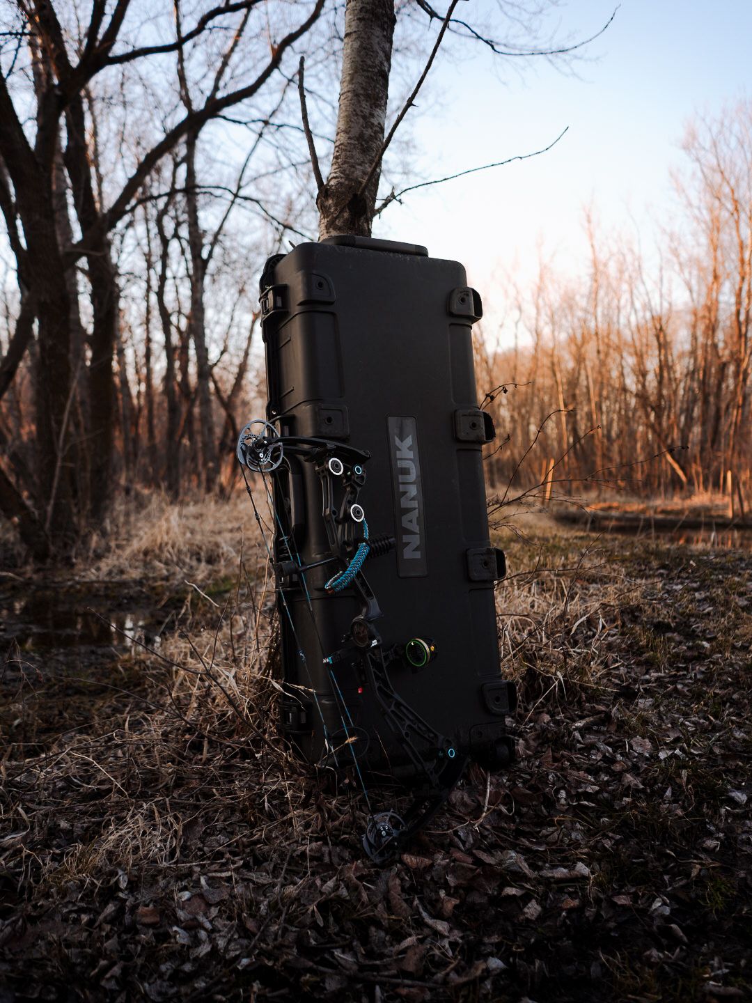 Black camera equipment positioned on forest floor with bare trees in background.