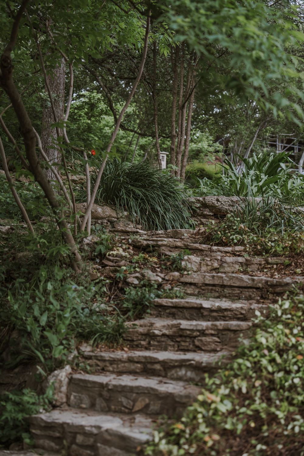 Stone pathway winding through a lush green garden with natural landscaping.