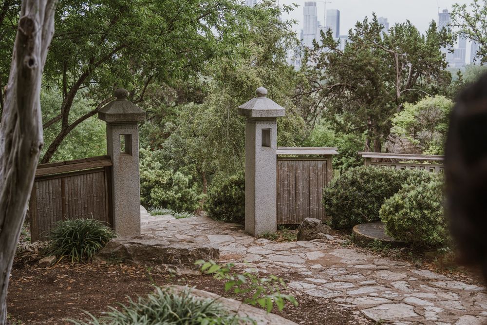Garden pathway with stone steps leading through lush greenery and trees.
