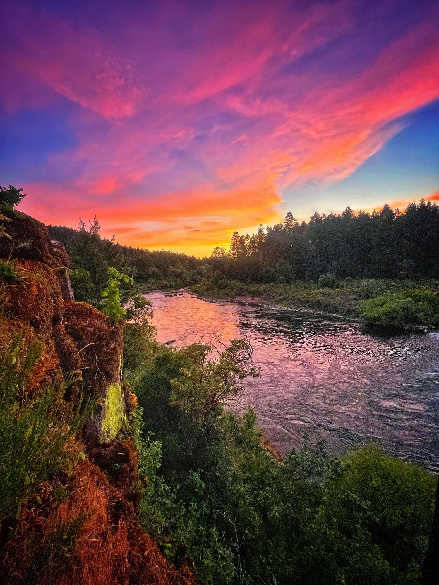 Stunning panoramic sunset over a river with vibrant pink and orange clouds reflecting on the water's surface through forest trees.