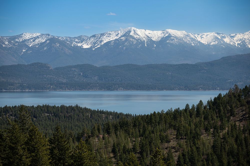 Snow-capped mountains rise above Lake Tahoe with evergreen forests in the foreground on a clear sunny day.