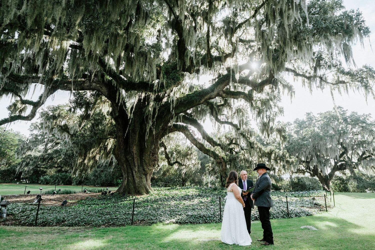 A couple shares a romantic moment under a majestic Spanish moss-draped oak tree in a lush garden setting.