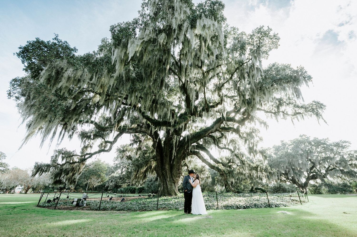 A couple shares a romantic moment under a majestic Spanish moss-draped oak tree on a lush green lawn.