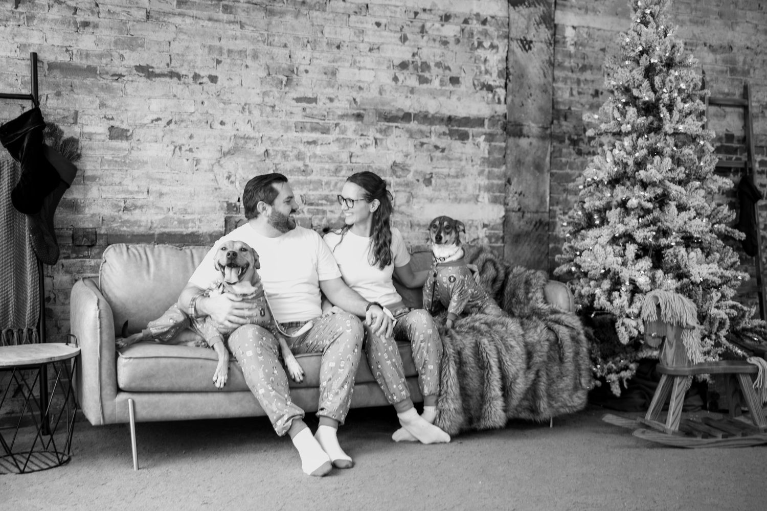 Cincinnati Christmas mini session featuring adults with two dogs holiday portraits, festive home styling, and warm seasonal family photograp