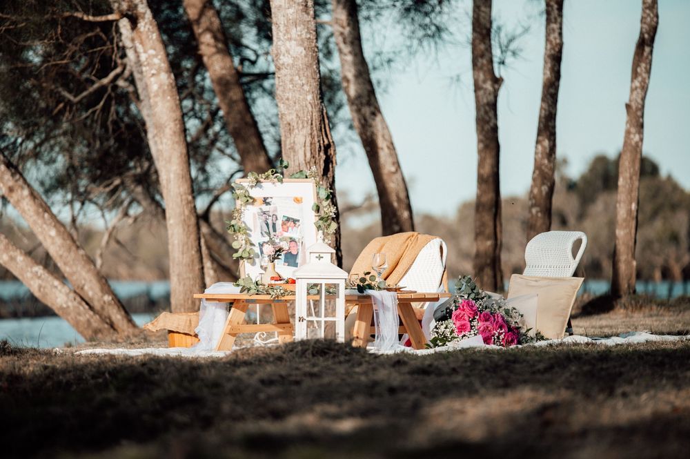 A cozy outdoor wedding venue with wooden chairs and decorative elements arranged between tall trees in a forest setting.