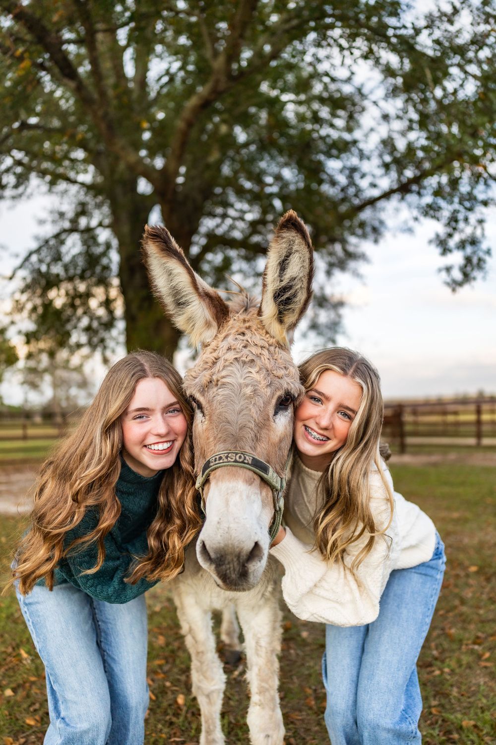 Two friends pose with friendly donkey on farm during fall season.