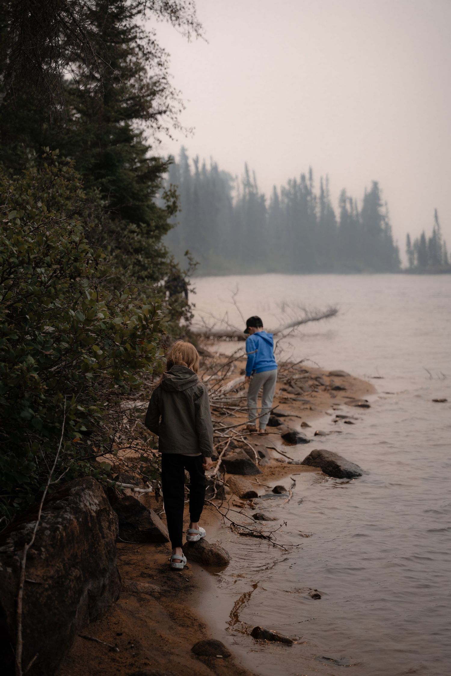 People walking along a misty rocky shoreline with evergreen trees in the background.