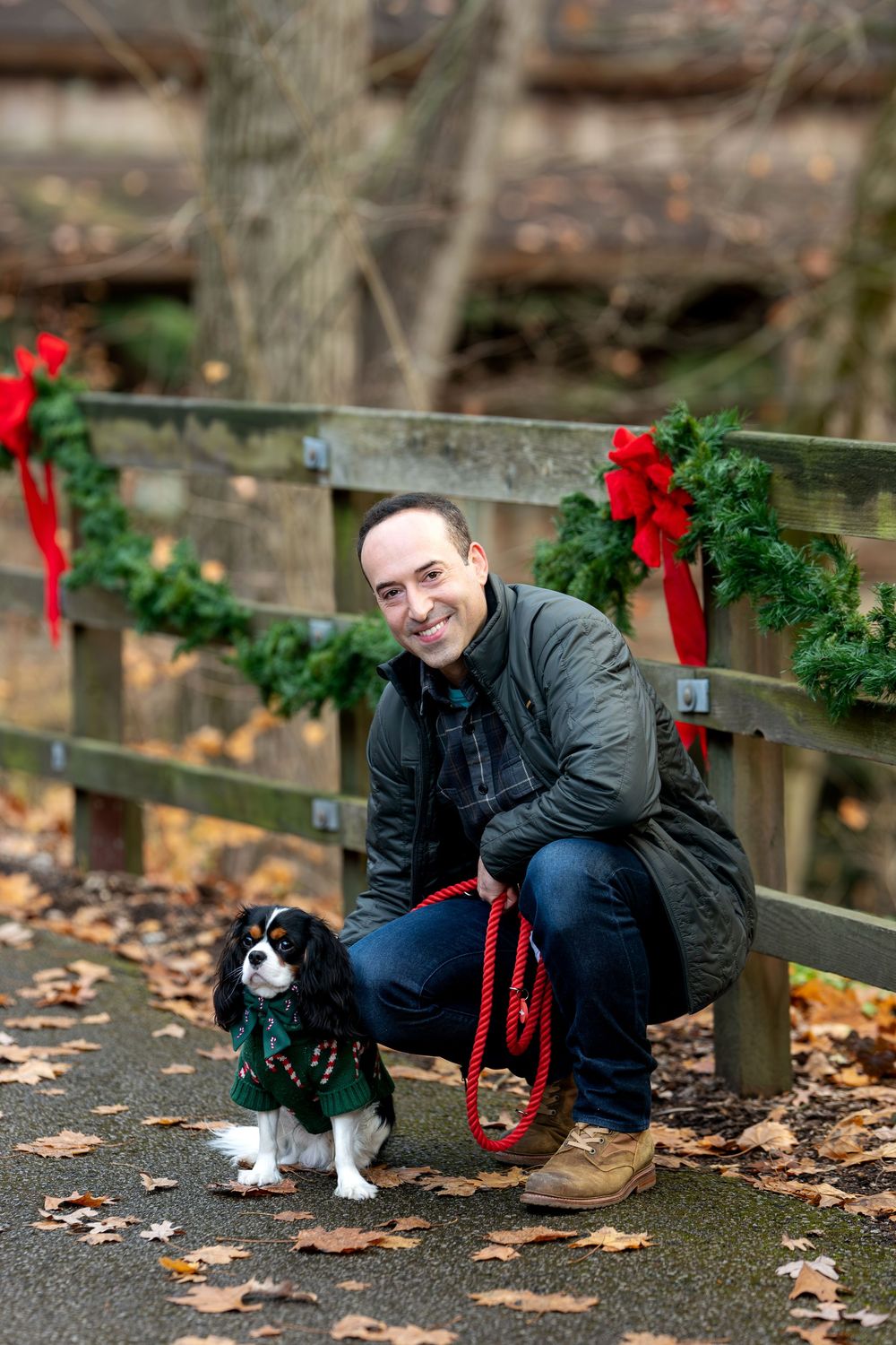Man crouching beside a Cavalier King Charles Spaniel in a holiday sweater near a Christmas-decorated wooden fence.