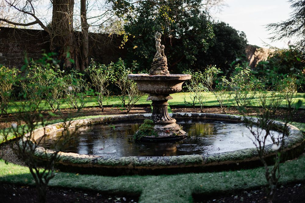 A serene garden pond surrounded by lush greenery and stone features creates a tranquil outdoor oasis.