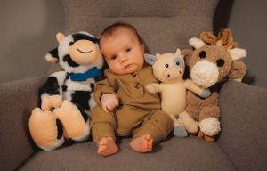 Collection of plush stuffed animals arranged on brown couch.