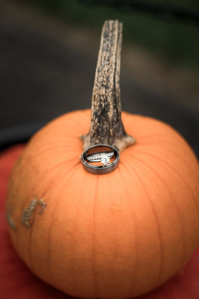 Wedding ring placed artistically on an orange pumpkin stem.