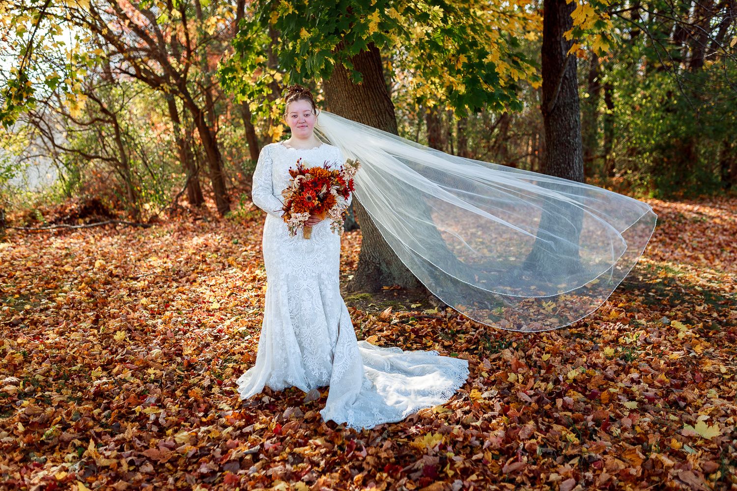 Bride in white lace gown with flowing veil poses among fall foliage.