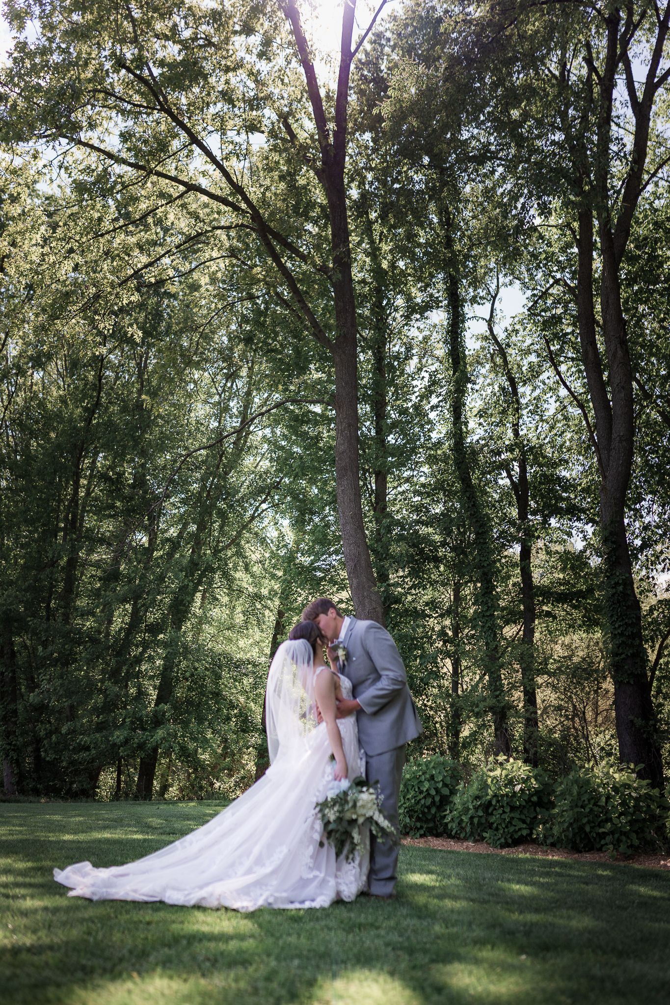 Wedding couple poses for romantic portraits under tall trees in natural outdoor setting.