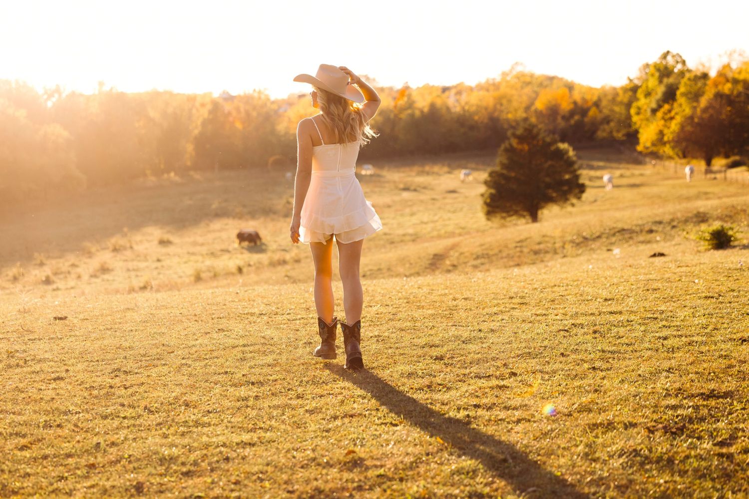 A person in a white dress walks through a sunlit meadow at golden hour creating long shadows on the grass.