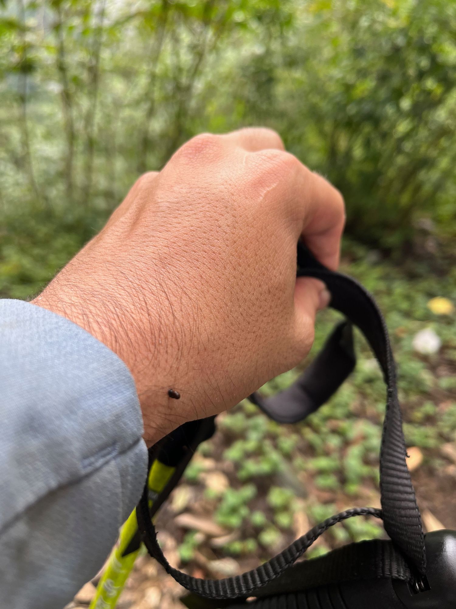 Hand wearing a light-colored sleeve adjusting black outdoor equipment straps.