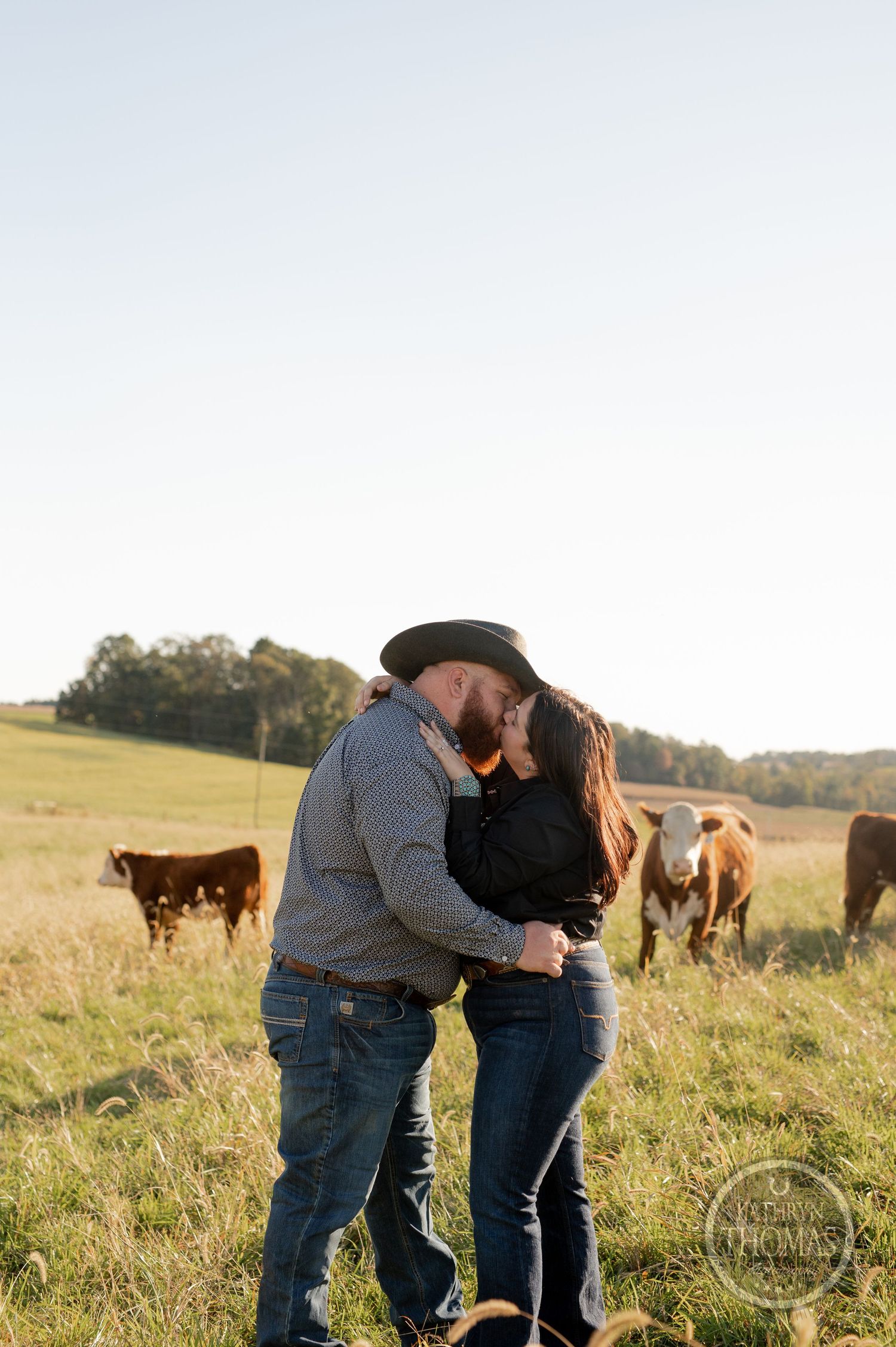 Couple embracing in golden field with cattle grazing during sunset.