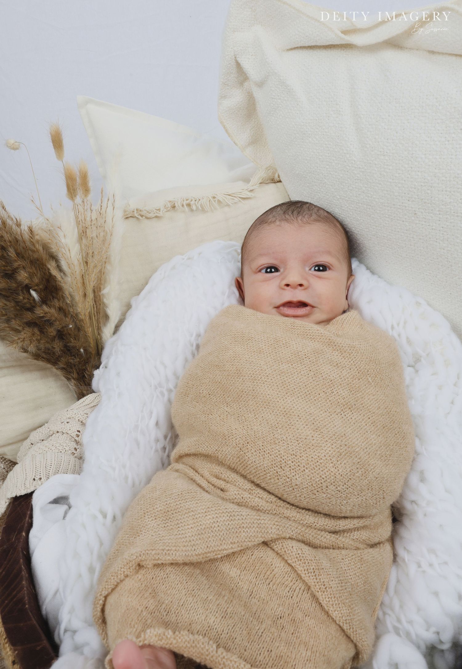 A baby wrapped in a cozy beige blanket lies on soft white bedding with dried pampas grass decorative accents.