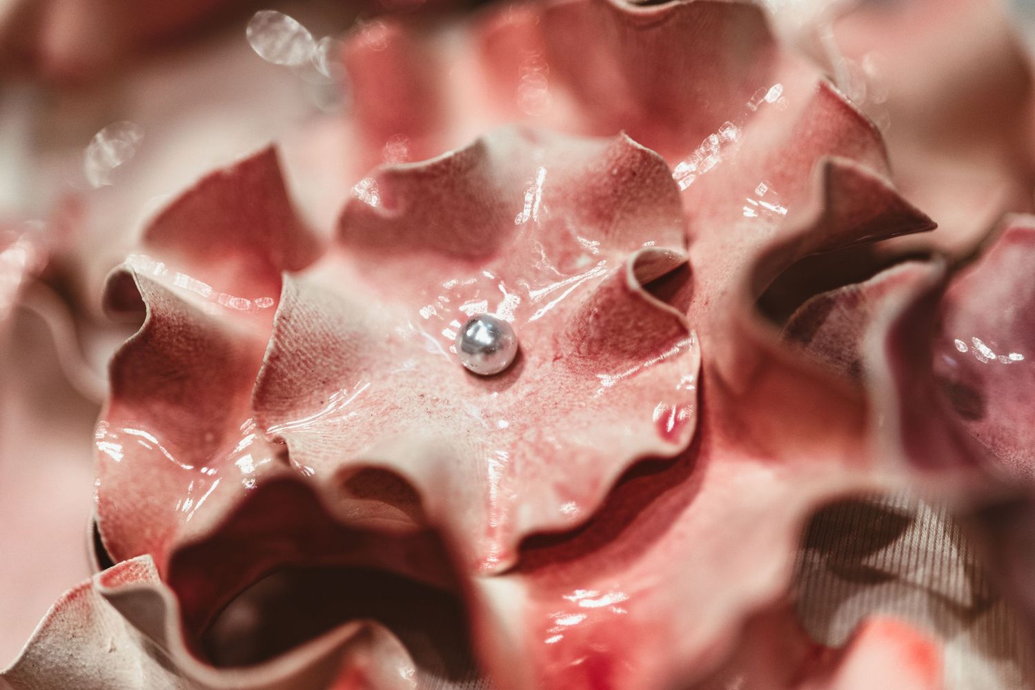 Abstract pink and white macro photograph showing soft blurred organic shapes with water droplets.