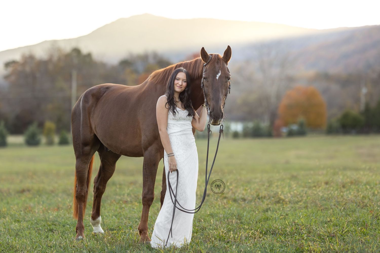 A chestnut horse stands in a grassy field with fall foliage in the background while someone in white holds its reins.