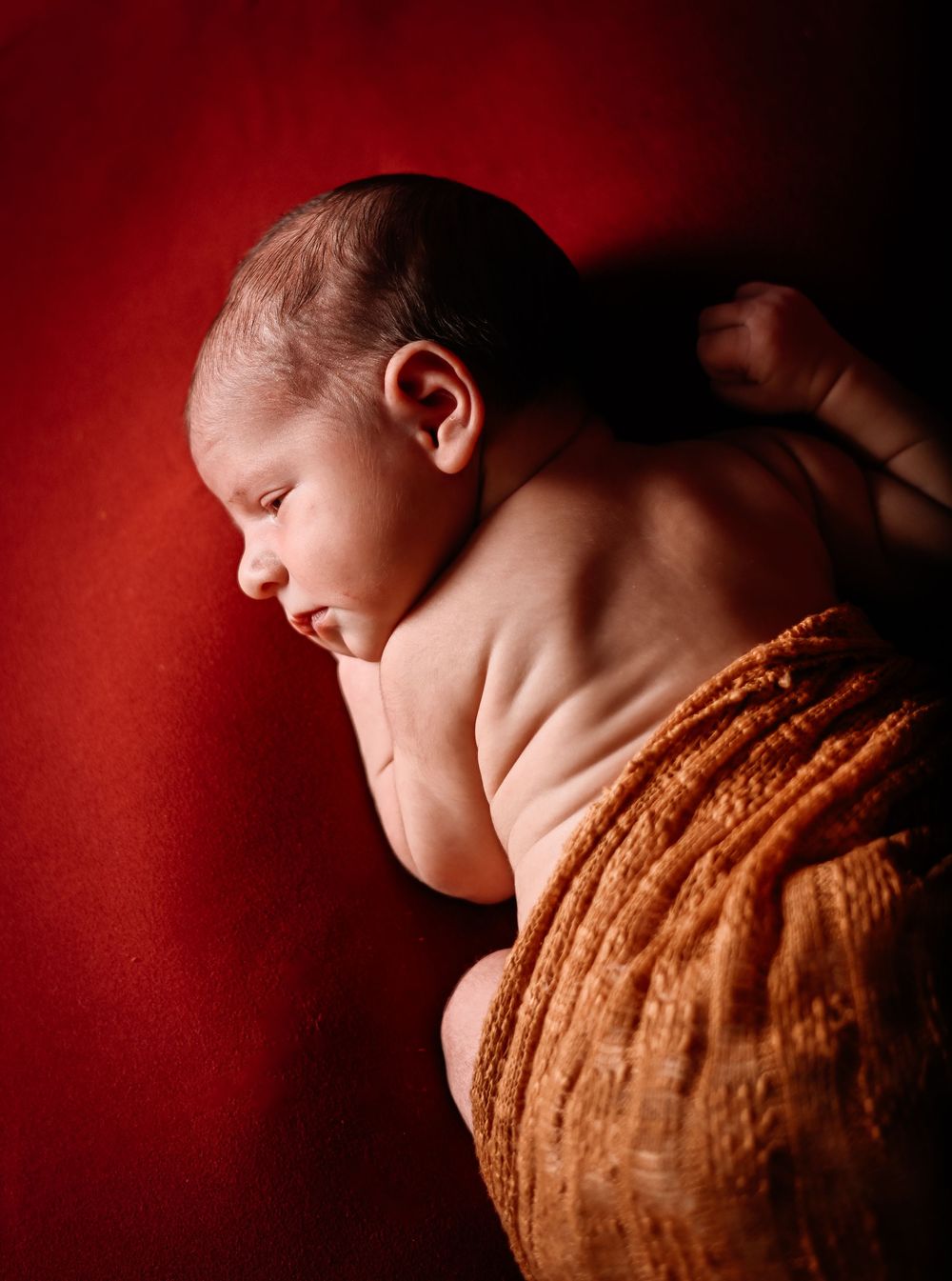 A series of silhouettes against a deep red background showing a sleeping baby wrapped in a brown knit blanket.