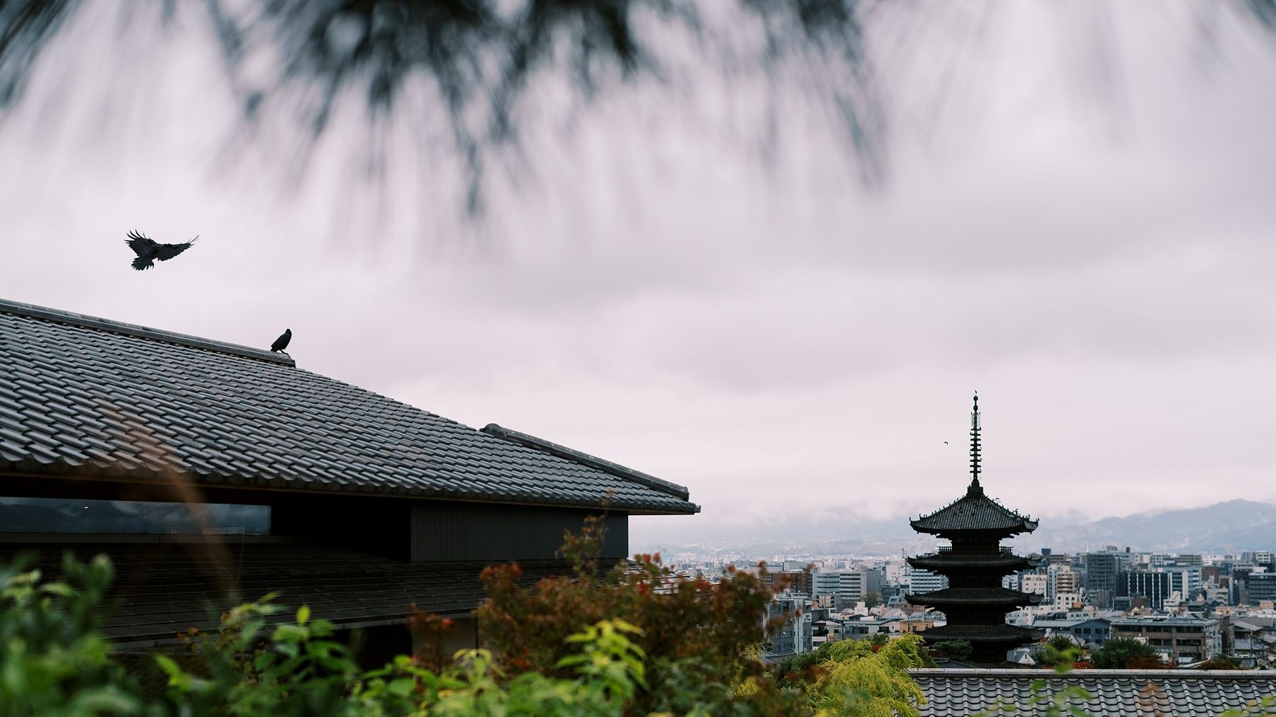 Traditional Japanese pagoda and buildings under cloudy skies.
