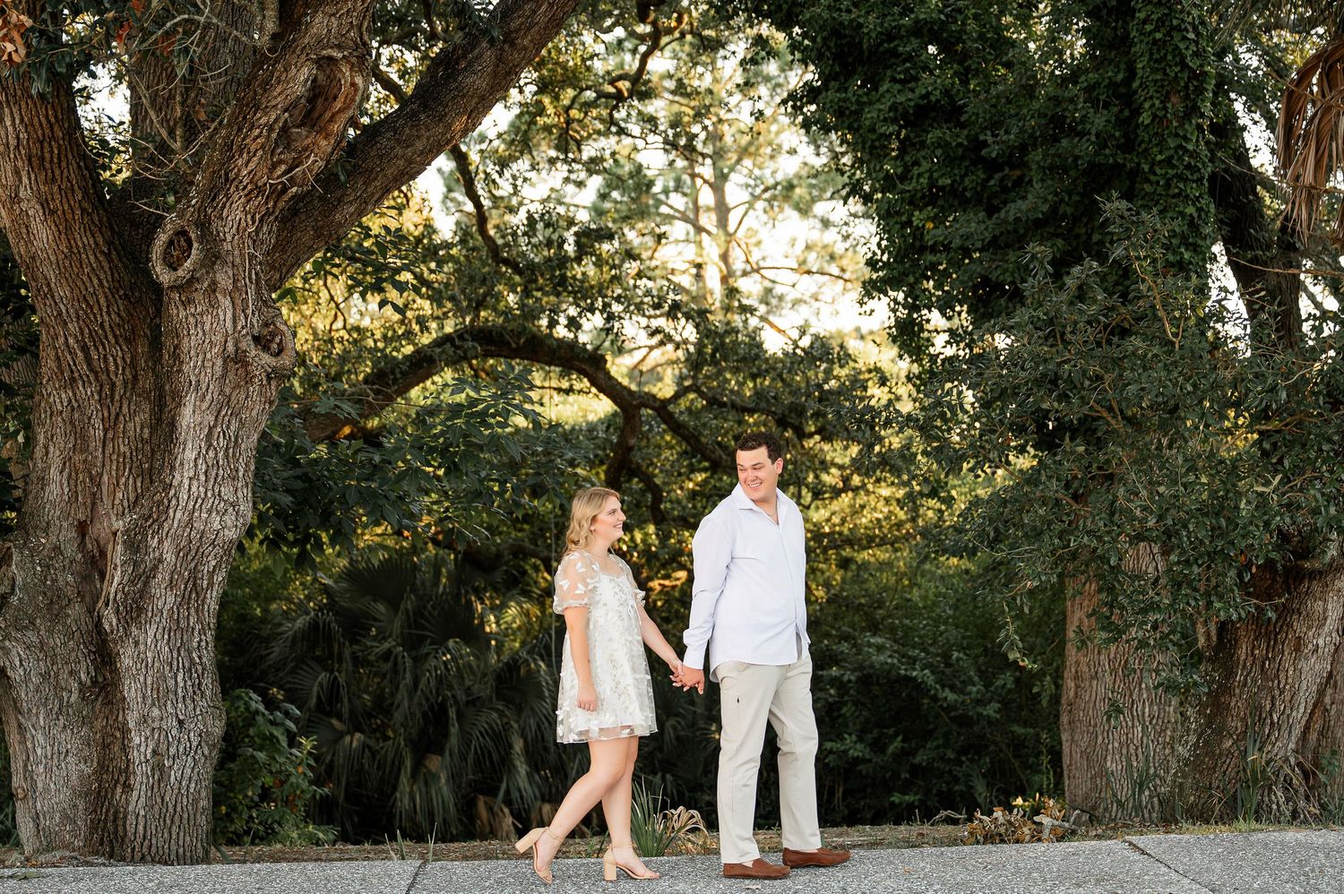 A couple walks hand in hand beneath large oak trees during a photo session.